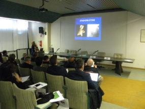 La slide dedicata al calcolo a stampo, lo staghorn stone