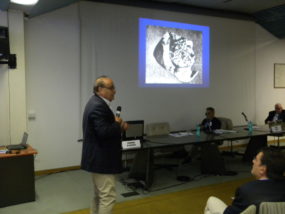 Una relazione sulle tecniche endoscopiche di trattamento della calcolosi