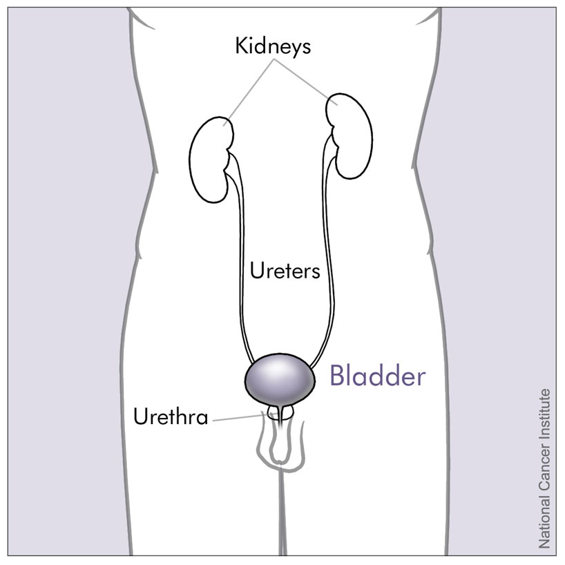 Esame urodinamico
